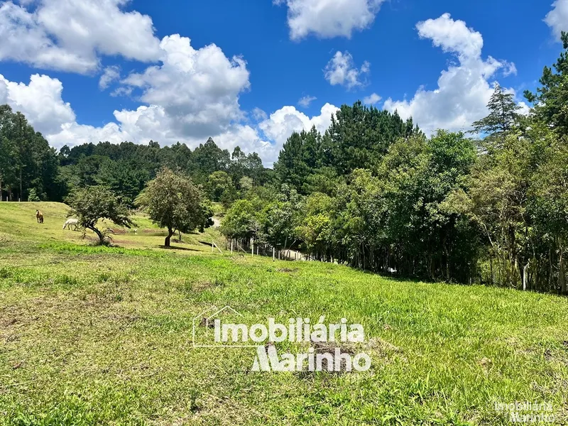 null: 3ª foto da galeria de imagens do imóvel