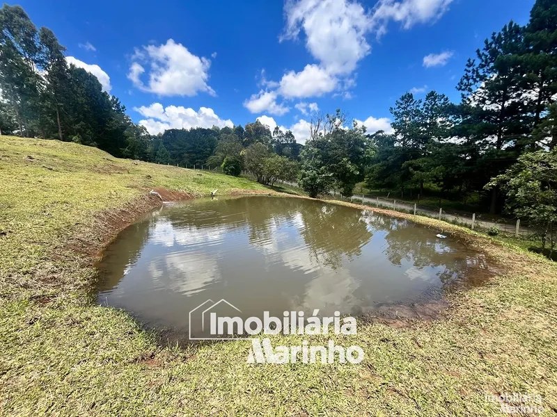 null: 10ª foto da galeria de imagens do imóvel