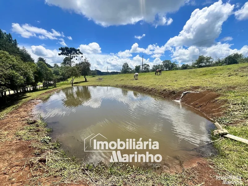 null: 12ª foto da galeria de imagens do imóvel