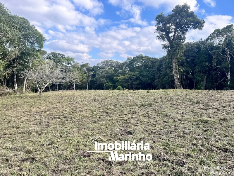 null: 5ª foto da galeria de imagens do imóvel