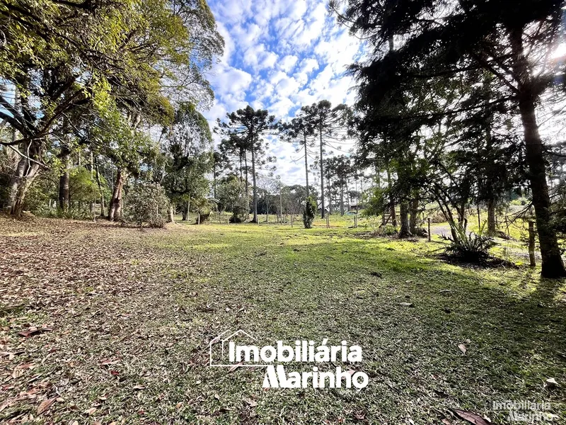 null: 11ª foto da galeria de imagens do imóvel