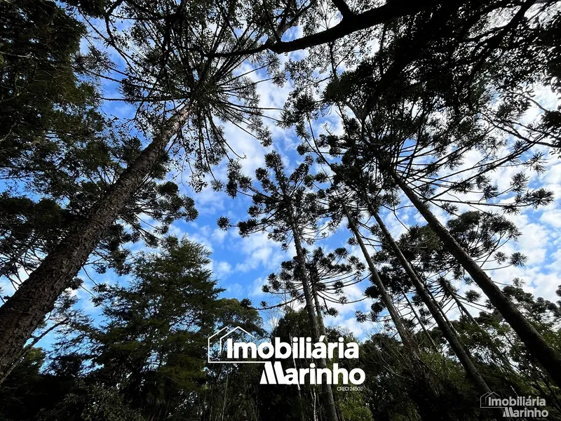 null: 10ª foto da galeria de imagens do imóvel