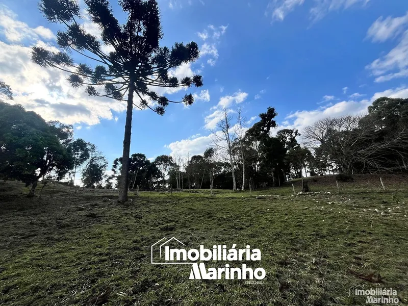 null: 4ª foto da galeria de imagens do imóvel