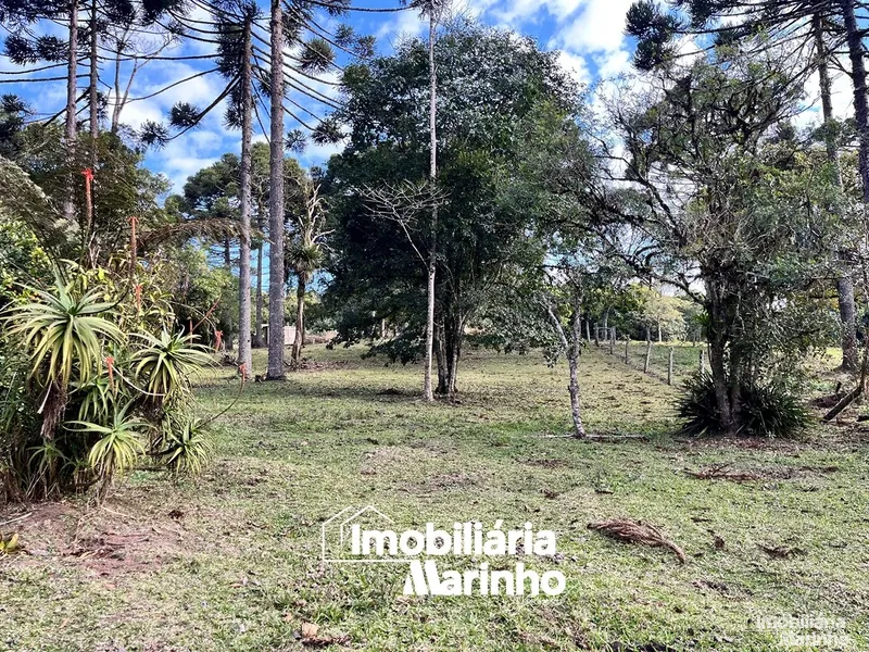 null: 12ª foto da galeria de imagens do imóvel