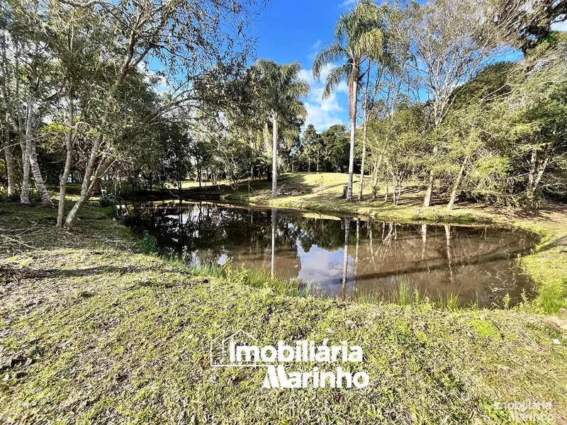 null: 3ª foto da galeria de imagens do imóvel