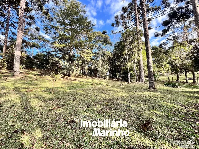 null: 14ª foto da galeria de imagens do imóvel