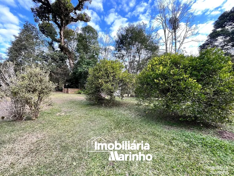 null: 15ª foto da galeria de imagens do imóvel