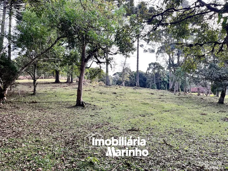 null: 8ª foto da galeria de imagens do imóvel