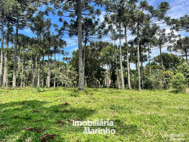null: 5ª foto da galeria de imagens do imóvel
