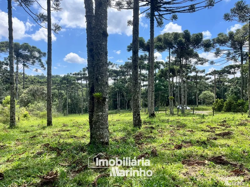 null: 8ª foto da galeria de imagens do imóvel