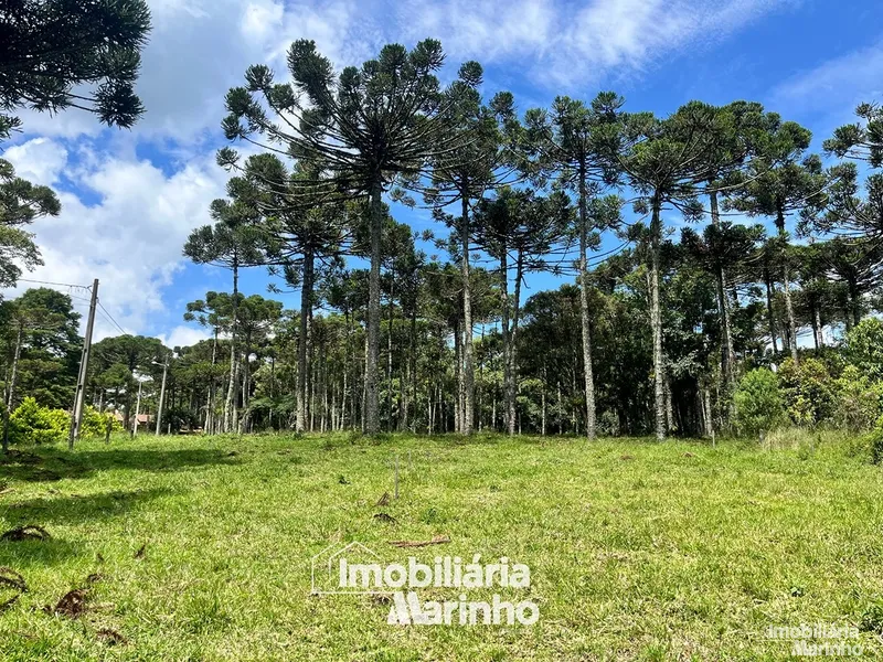 null: 1ª foto da galeria de imagens do imóvel