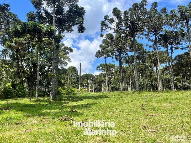 null: 4ª foto da galeria de imagens do imóvel