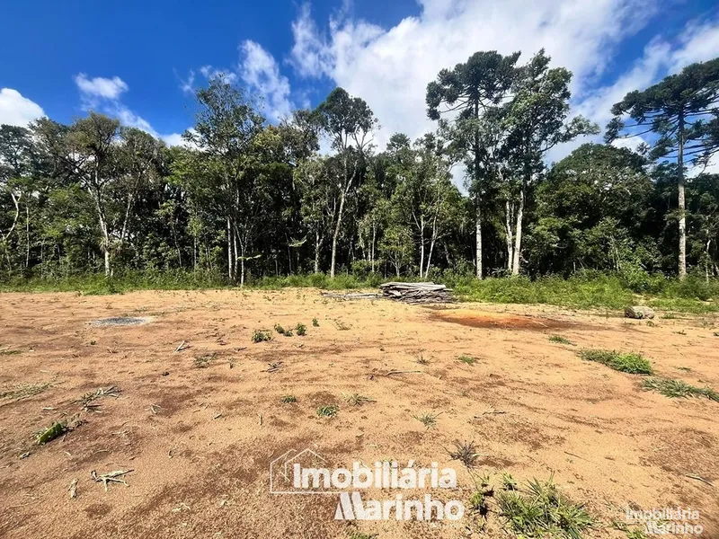 null: 3ª foto da galeria de imagens do imóvel