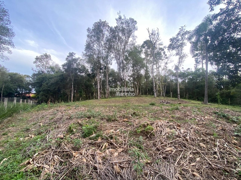 Terreno em Bateias de Baixo – Campo Alegre/SC: 7ª foto da galeria de imagens do imóvel