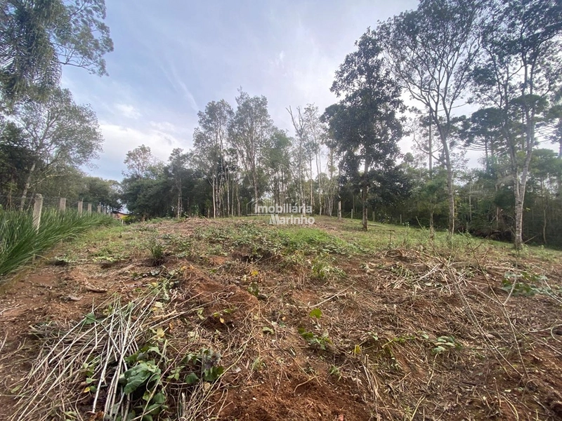 Terreno em Bateias de Baixo – Campo Alegre/SC: 9ª foto da galeria de imagens do imóvel