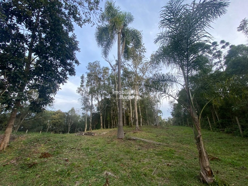 Terreno em Bateias de Baixo – Campo Alegre/SC: 6ª foto da galeria de imagens do imóvel