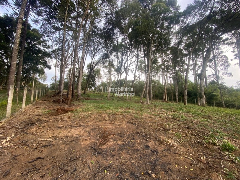 Terreno em Bateias de Baixo – Campo Alegre/SC: 11ª foto da galeria de imagens do imóvel