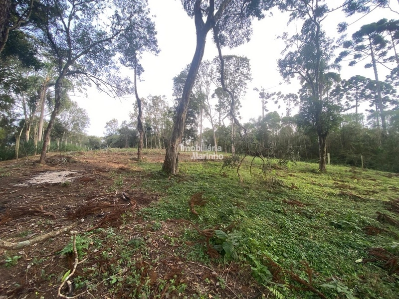 Terreno em Bateias de Baixo – Campo Alegre/SC: 1ª foto da galeria de imagens do imóvel