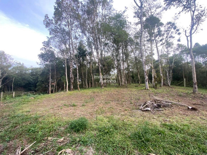 Terreno em Bateias de Baixo – Campo Alegre/SC: 5ª foto da galeria de imagens do imóvel