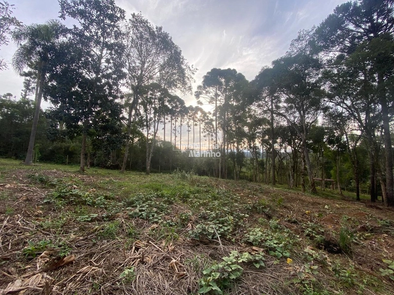 Terreno em Bateias de Baixo – Campo Alegre/SC: 10ª foto da galeria de imagens do imóvel