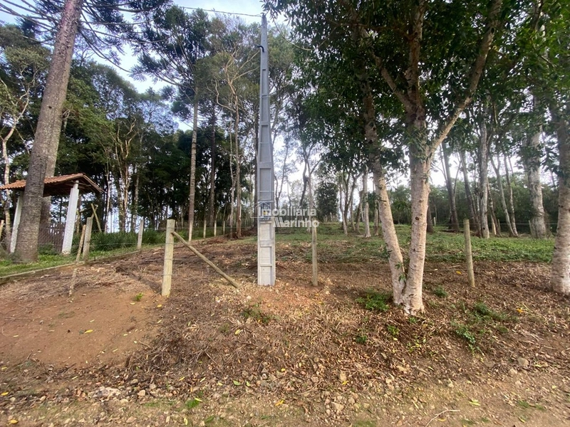 Terreno em Bateias de Baixo – Campo Alegre/SC: 13ª foto da galeria de imagens do imóvel