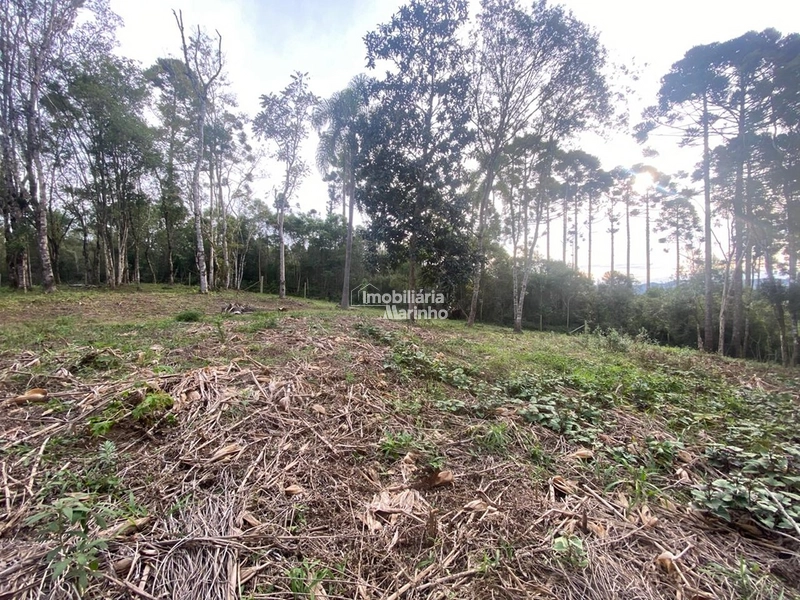 Terreno em Bateias de Baixo – Campo Alegre/SC: 8ª foto da galeria de imagens do imóvel