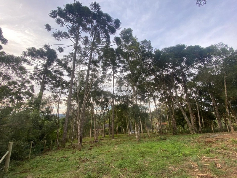 Terreno em Bateias de Baixo – Campo Alegre/SC: 3ª foto da galeria de imagens do imóvel