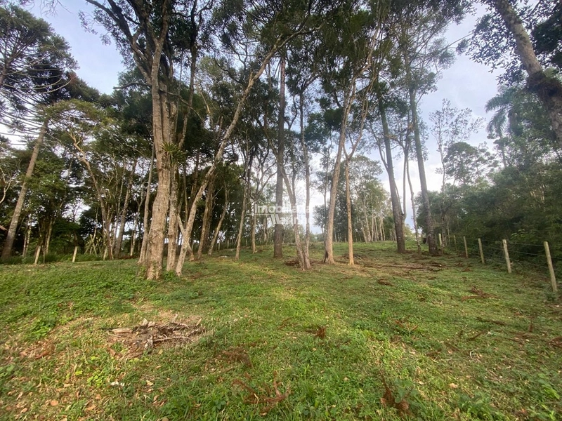 Terreno em Bateias de Baixo – Campo Alegre/SC: 2ª foto da galeria de imagens do imóvel
