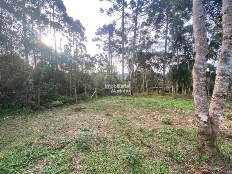 Terreno em Bateias de Baixo – Campo Alegre/SC: 4ª foto da galeria de imagens do imóvel