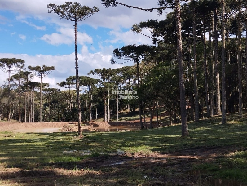 Terrenos para Chácaras No Salto!!!!: 2ª foto da galeria de imagens do imóvel