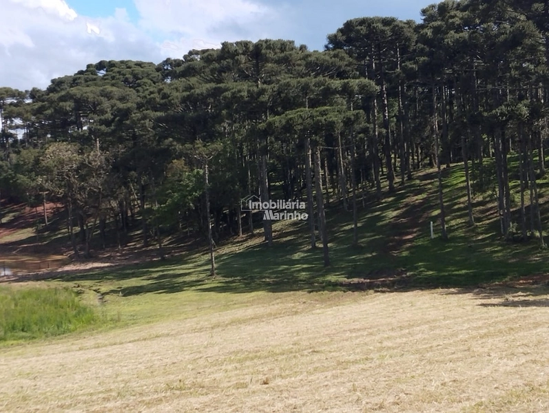 Terrenos para Chácaras No Salto!!!!: 4ª foto da galeria de imagens do imóvel