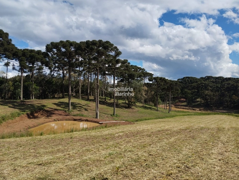 Terrenos para Chácaras No Salto!!!!: 5ª foto da galeria de imagens do imóvel