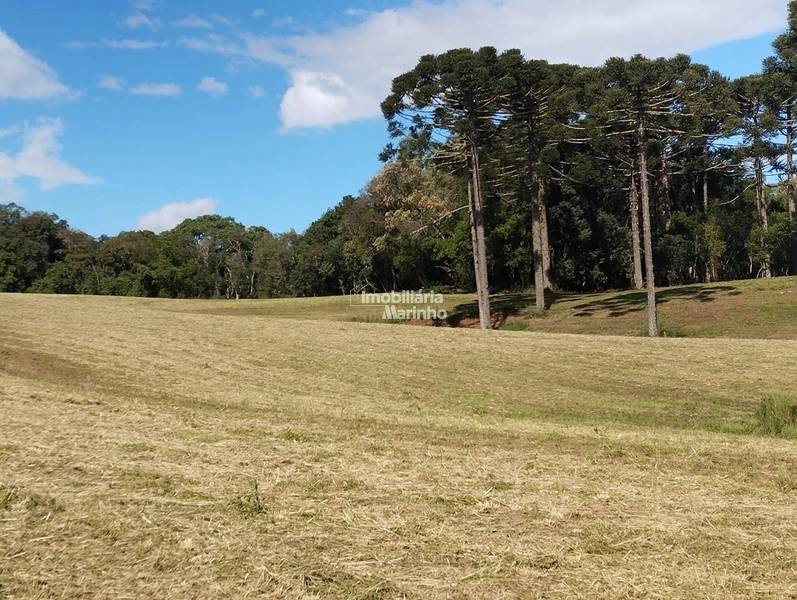 Terrenos para Chácaras No Salto!!!!: 3ª foto da galeria de imagens do imóvel