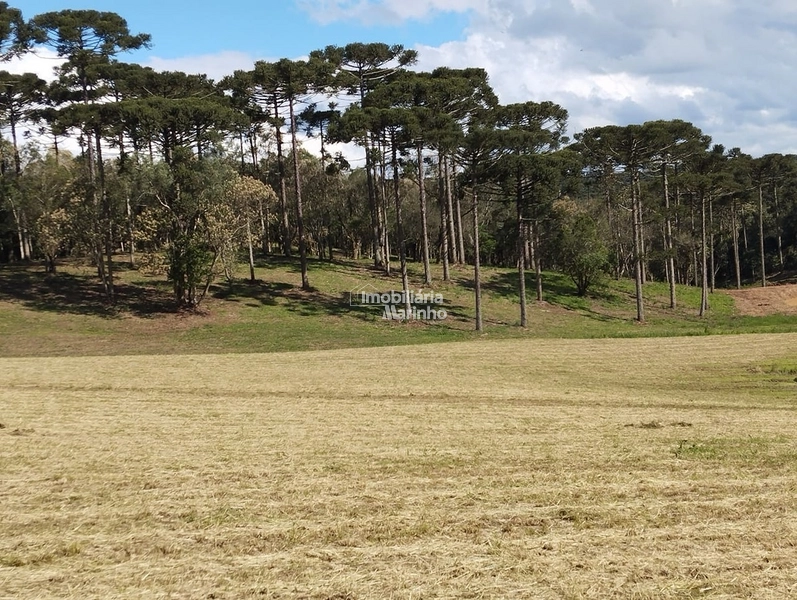 Terrenos para Chácaras No Salto!!!!: 6ª foto da galeria de imagens do imóvel