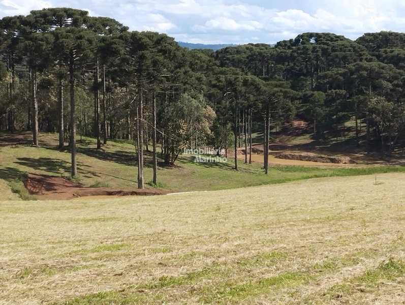 Terrenos para Chácaras No Salto!!!!: 8ª foto da galeria de imagens do imóvel