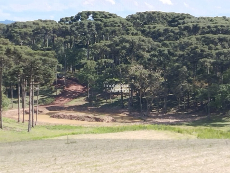 Terrenos para Chácaras No Salto!!!!: 7ª foto da galeria de imagens do imóvel