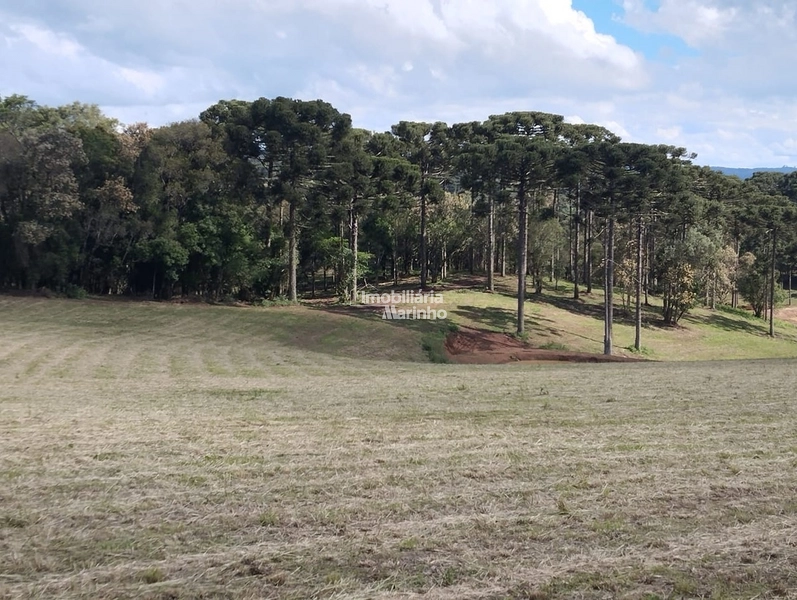 Terrenos para Chácaras No Salto!!!!: 9ª foto da galeria de imagens do imóvel