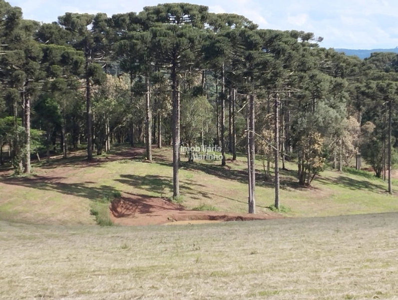 Terrenos para Chácaras No Salto!!!!: 10ª foto da galeria de imagens do imóvel