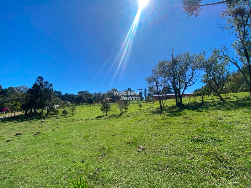 Terreno à venda no Saltinho – Campo Alegre/SC: 11ª foto da galeria de imagens do imóvel