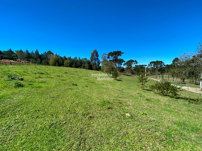 Terreno à venda no Saltinho – Campo Alegre/SC: 6ª foto da galeria de imagens do imóvel