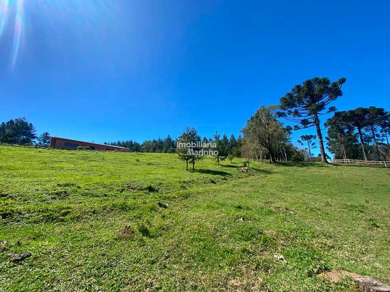 Terreno à venda no Saltinho – Campo Alegre/SC: 10ª foto da galeria de imagens do imóvel
