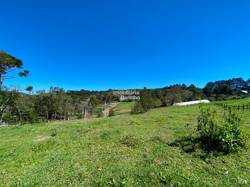 Terreno à venda no Saltinho – Campo Alegre/SC: 5ª foto da galeria de imagens do imóvel