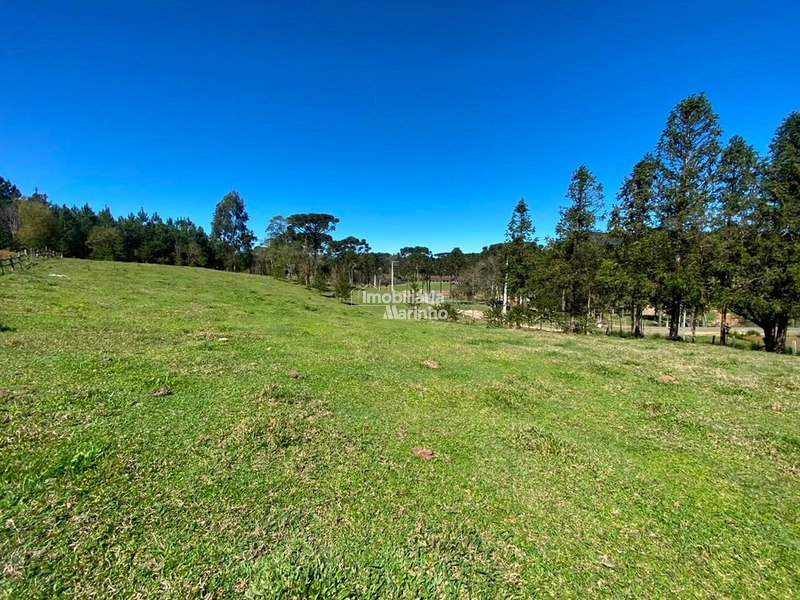 Terreno à venda no Saltinho – Campo Alegre/SC: 7ª foto da galeria de imagens do imóvel