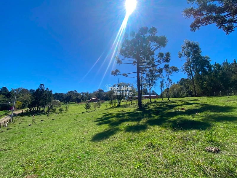 Terreno à venda no Saltinho – Campo Alegre/SC: 1ª foto da galeria de imagens do imóvel