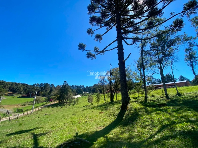 Terreno à venda no Saltinho – Campo Alegre/SC: 14ª foto da galeria de imagens do imóvel