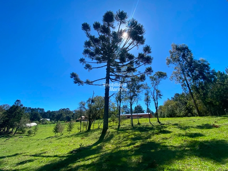 Terreno à venda no Saltinho – Campo Alegre/SC: 15ª foto da galeria de imagens do imóvel