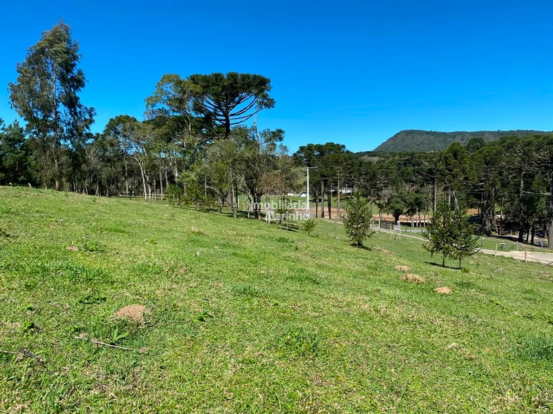 Terreno à venda no Saltinho – Campo Alegre/SC: 4ª foto da galeria de imagens do imóvel
