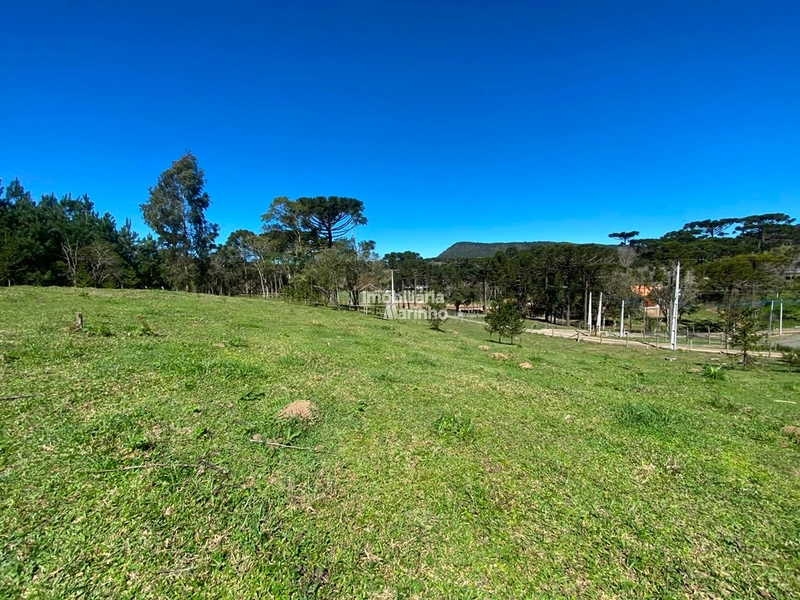 Terreno à venda no Saltinho – Campo Alegre/SC: 3ª foto da galeria de imagens do imóvel
