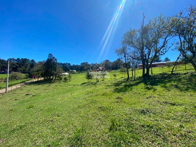 Terreno à venda no Saltinho – Campo Alegre/SC: 13ª foto da galeria de imagens do imóvel