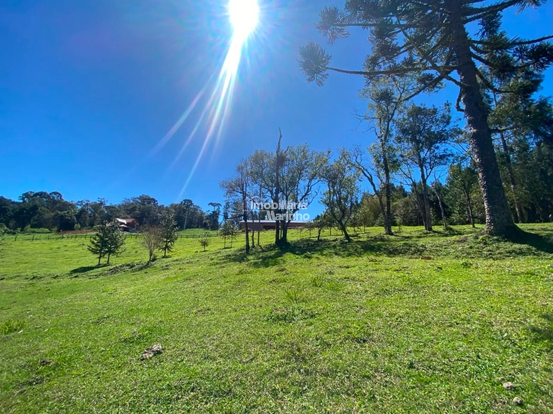 Terreno à venda no Saltinho – Campo Alegre/SC: 12ª foto da galeria de imagens do imóvel